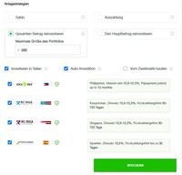 Robocash- Einstellungen des Auto-Invest - Teil 2